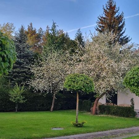 Pod Jablonia Villa Bydgoszcz Bagian luar foto