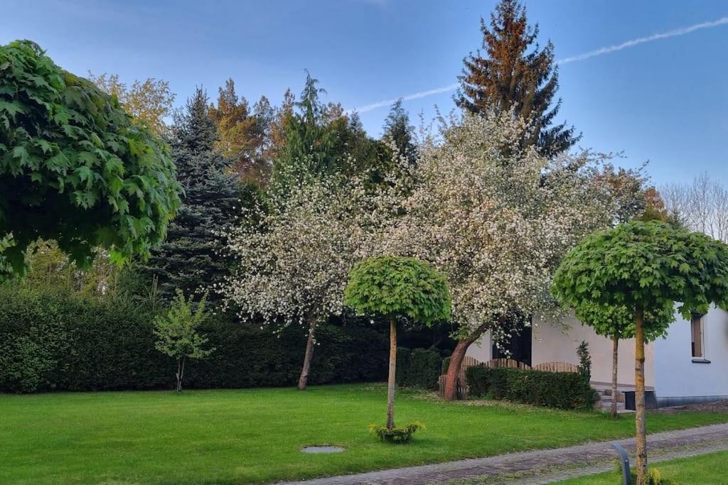 Pod Jablonia Villa Bydgoszcz Bagian luar foto