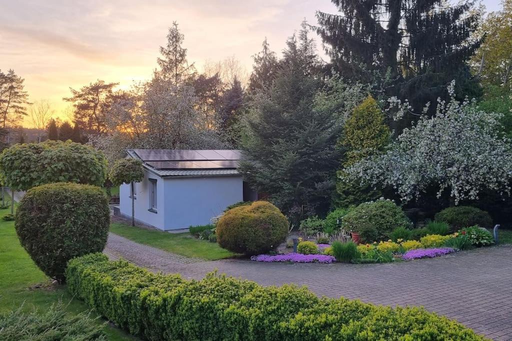 Pod Jablonia Villa Bydgoszcz Bagian luar foto