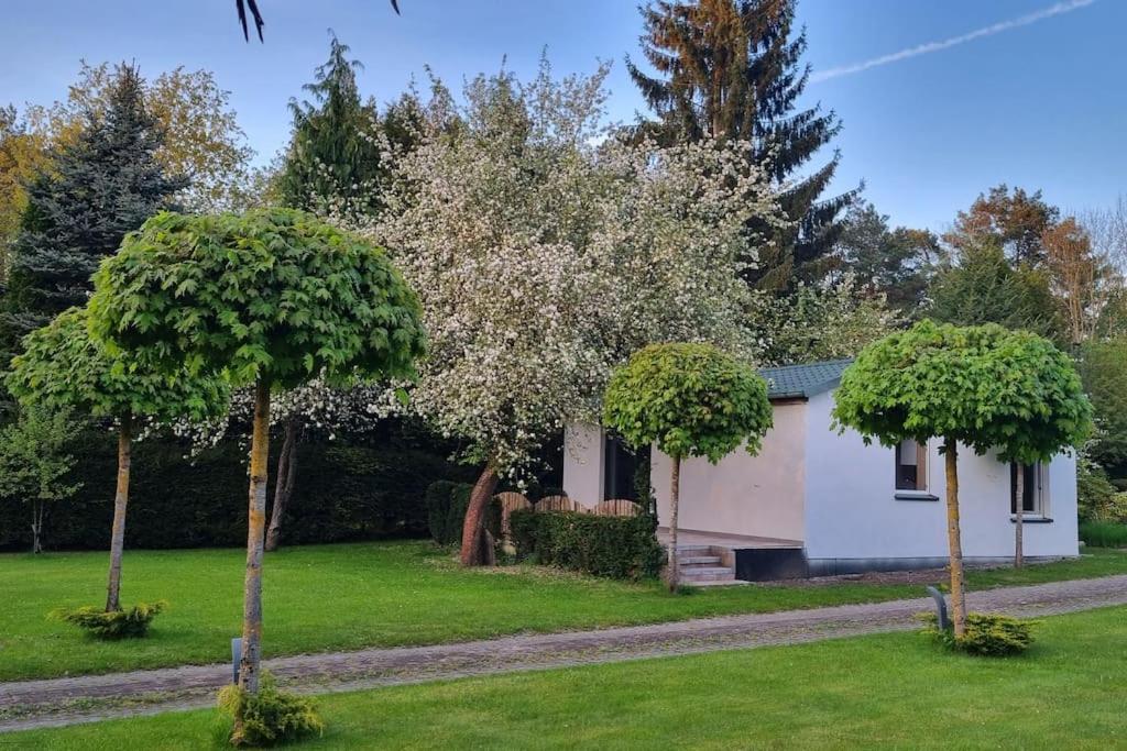 Pod Jablonia Villa Bydgoszcz Bagian luar foto